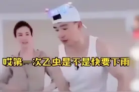 比上海的白蚁更可怕！红火蚁入侵中国12省，被咬一口可能致命图片