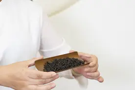 荼、槚、蔎、茗、荈；究竟哪个才是茶？图片