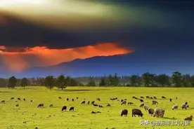 深圳军科整形医院：除皱针是对所有皱纹都有效吗？图片