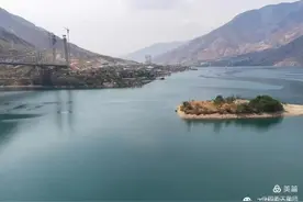 杠香、龙肝香、藤沉香｜降真香别名系列之十四图片