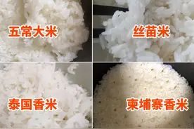 五常大米、丝苗米、泰国香米、柬埔寨香米，哪种大米更值得买？图片