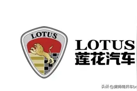 青年汽车（下）：千亿巨骗、水氢汽车，庞青年的千层套路图片