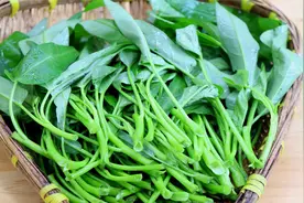 “万毒之王”？“抽筋菜”？空心菜的“恶名”是怎么来的？图片