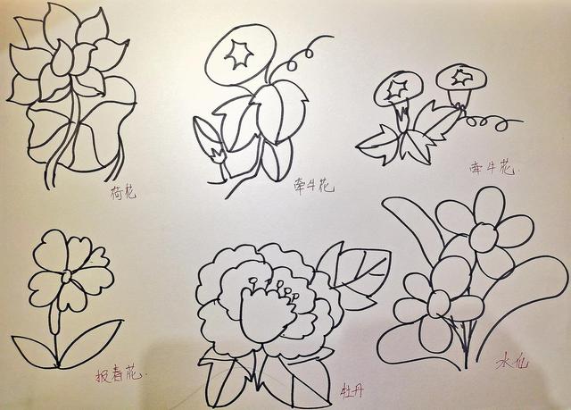 花草图片简笔画 儿童画(儿童画花草简笔画图片大全)-措必培