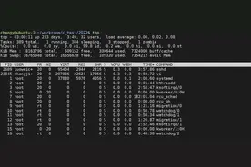 新手必须掌握的Linux命令(1)图片