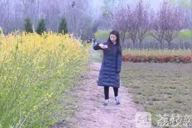 单手致富！独臂女孩带领全村“走花路”图片