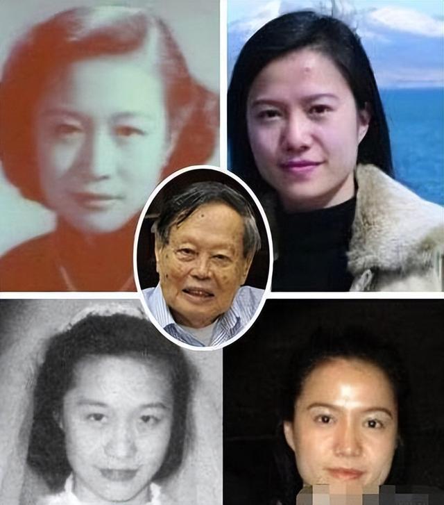 民国奇女子杜致礼,身世名门的顶级名媛,杨振宁一生中唯一的爱情