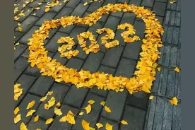 做防疫志愿者有工资吗？图片