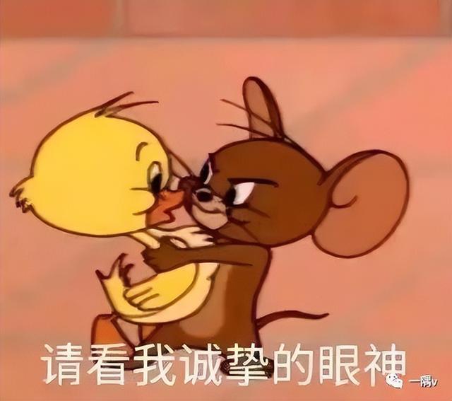 什么才是“职场生存法则”
