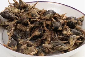 细菌超标340倍的宠物零食！别再买了！图片