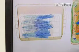 春运返程要当心！有旅客因为携带“仙女棒”烟花被查图片