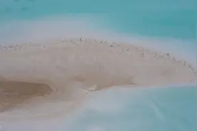 盐湖提锂的成本是多少呢？技术品质产量如何管控？图片