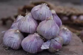 才发现，保存大蒜原来这么简单，久放不干瘪不发芽，方法太厉害了图片