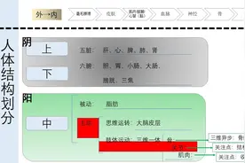 运动七关节——髋关节图片