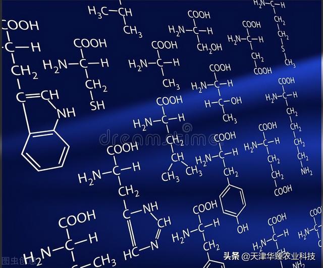 氨基酸对氮磷钾的“辅助”作用，老农民：种地用肥是门技术