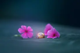 这三种性格的人，注定命苦福薄，希望你不是图片