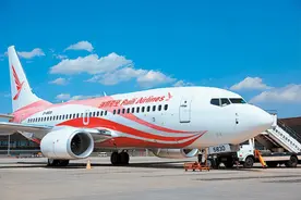 瑞丽航空：被告！图片