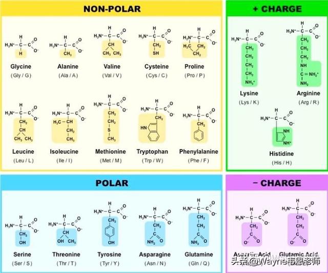 鏌愬ぇ鐗屾皑鍩洪吀鑲屽簳琛ｅ埌搴曟槸榛戠鎶€杩樻槸鏅哄晢绋庯紵浣犱腑鎷涗簡鍚楋紵