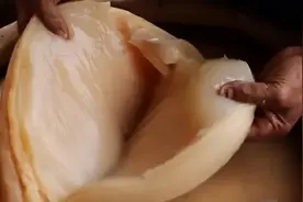 醋坛里长出来的“大肥肉”是什么？20年前是香饽饽，夏天常泡水喝图片