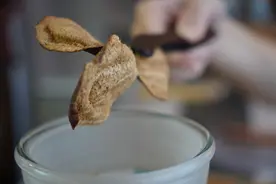 不会醒皮，再贵的陈皮也会被浪费图片