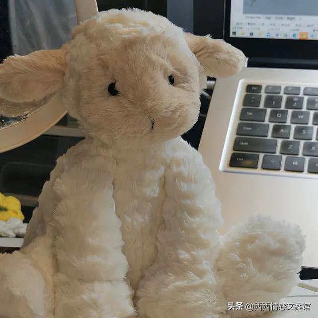 �ʺϷ�����Ȧ����ů�����İ�