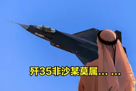 大户的格局！阿联酋表面上买中国定制版L15，实则盯着歼35！图片