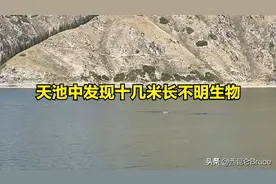 突发：女子在新疆天池中发现十几米长的不明生物！景区最新回应了图片