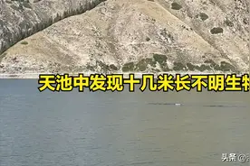 突发：女子在新疆天池中发现十几米长的不明生物！景区最新回应了图片