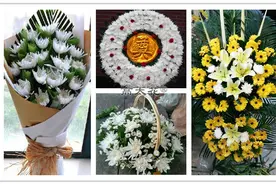 祭奠花束一般都是多少支：花束饱满美观是主要标准图片