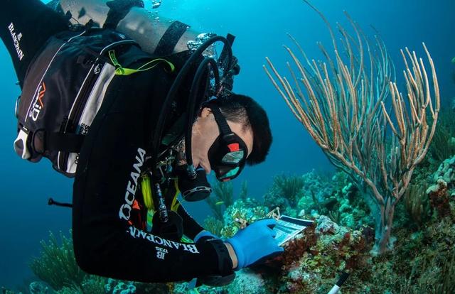 һ�����յ���ʮ�x70������������������ô���ˣ�