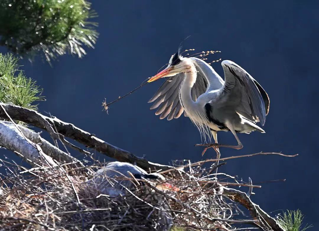 四川省民生研究会新媒体中心-官网