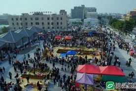 火了！澄海这个千年古墟“满血复活”让人逛花了眼，你来打卡了吗？图片