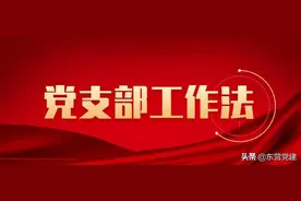 【党支部工作法】东营市天鹅湖蓄滞洪工程行动党支部：搭建“三项机制” 引领攻坚突破图片