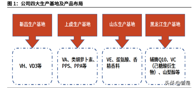 新和成研究报告：从维生素龙头逐渐成长为精细化工龙头