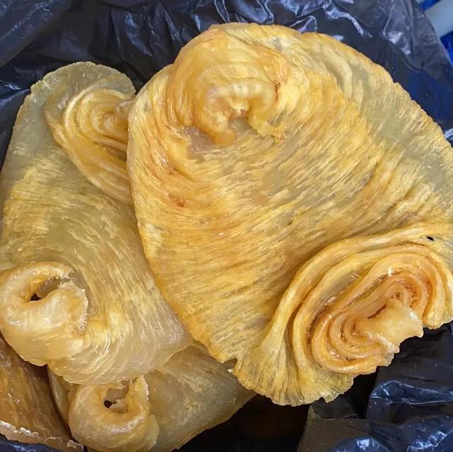 花胶是黄鱼肚吗 2026年黄花胶是什么鱼的鱼肚?