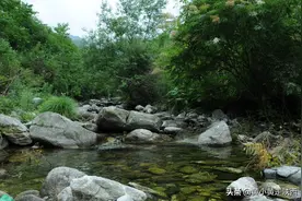 这里就是“灞河源”？轻轻松松就能抵达，有古道，还能登秦岭大梁图片