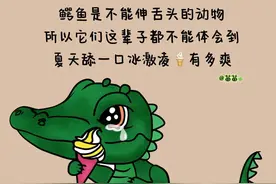 鳄鱼冷知识你知道几个？图片