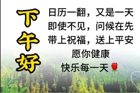 美图分享~不用打字的午安问候语图片