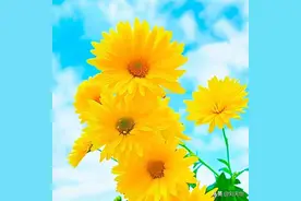 你再好，也避免不了别人说你坏图片