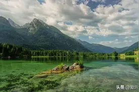 诗词丨岁月悠长伴夏鸣，浮华褪尽荷飘香图片