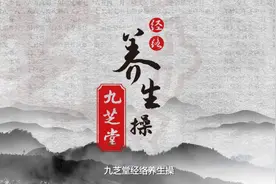 九芝堂国术养生功法——九芝堂经络养身操图片
