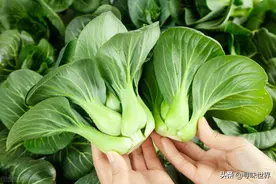 蔬菜要因时而食，记住1到12月应季蔬菜一览表，应季而食身体棒图片