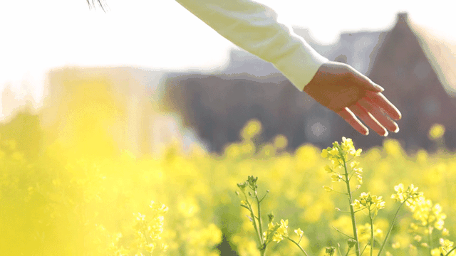 四川省民生研究会新媒体中心-官网