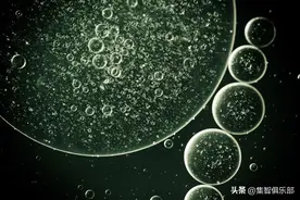 前沿综述：人工细胞的过去、现在、未来图片