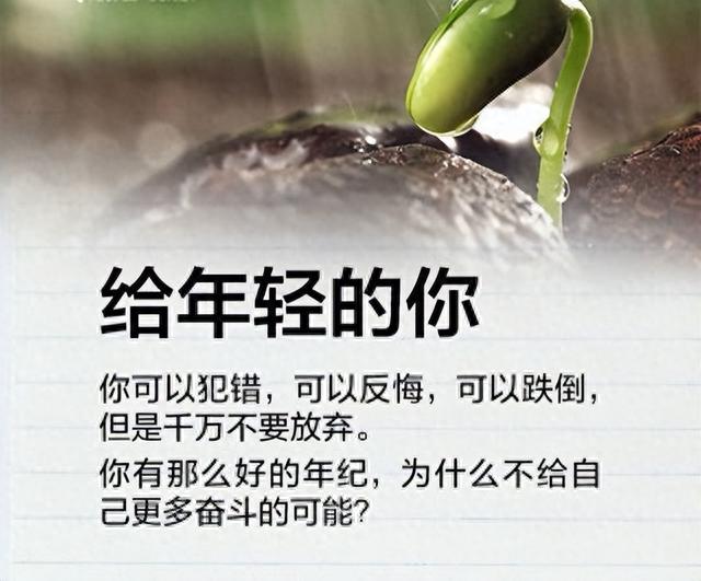 如果网贷逾期车贷怎么办，如果网贷逾期车贷怎么办理 配图02