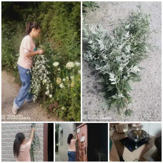 四川省民生研究会新媒体中心-官网