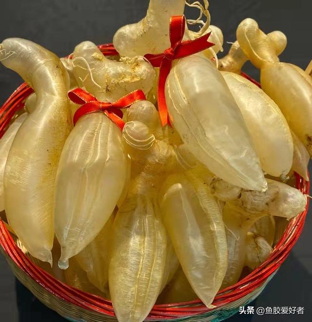 杨千嬅花胶 2026年杨千嬅海花岛演唱会