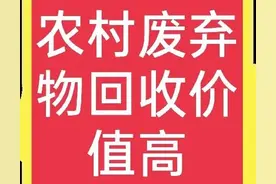 农村人请注意，这些“废弃物”都价值不菲，很多商家在回收图片