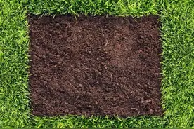 PS教程：图层样式与图层复合图片