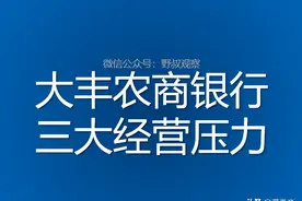 大丰农商银行：三大经营压力图片